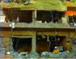 OPM-SANG bombing, Riyadh, Nov. 1995