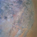 Saudi Arabia farming